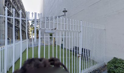 Miami Anti-Aging Institute
